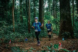 BIB: 
                            <button type="button" onclick="openModal(26135168)" class="btn btn-primary btn-sm float-right btn-popup" data-toggle="modal" data-target=".modal-high-quality">
                        <i class="fas fa-shopping-cart"></i> Add to Cart
                    </button>
                                            <button type="button" onclick="isThisMe(26135168, true)" class="btn btn-success btn-sm float-right btn-popup btn-isme hidden" data-toggle="tooltip" data-placement="bottom" title="นี่คือรูปของคุณใช่ไหม คลิกที่นี่เพื่อเอาเข้าอัลบั้ม">
                        <i class="fas fa-plus"></i> Add to album
                    </button>
                    <button type="button" onclick="isThisMe(26135168, false)" class="btn btn-warning btn-sm float-right btn-popup btn-isnotme hidden">
                        <i class="fas fa-ban"></i> Remove from album
                    </button>